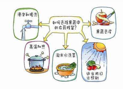 如何減少農(nóng)藥污染去除農(nóng)藥殘留？振華化工總結(jié)以下幾點(diǎn)分享給大家